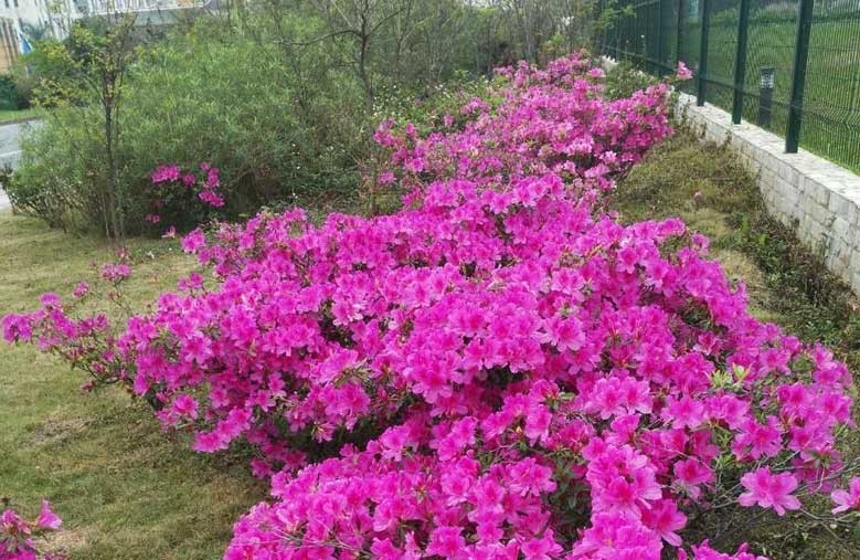 恒温恒湿试验箱