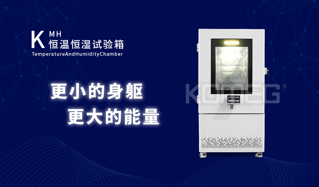 恒温恒湿试验箱